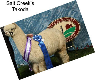 Salt Creek\'s Takoda