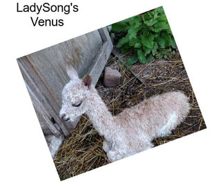 LadySong\'s Venus