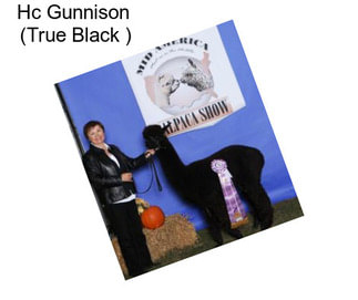 Hc Gunnison  (True Black )