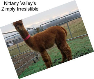 Nittany Valley\'s Zimply Irresistible