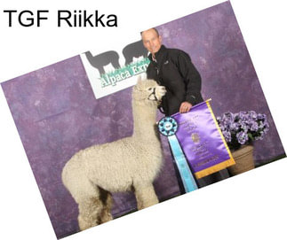 TGF Riikka