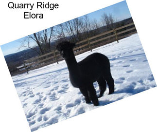 Quarry Ridge Elora