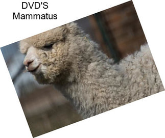 DVD\'S Mammatus
