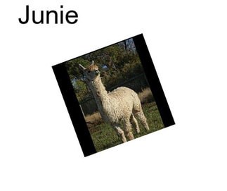 Junie