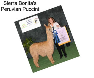 Sierra Bonita\'s Peruvian Puccini