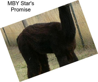 MBY Star\'s Promise