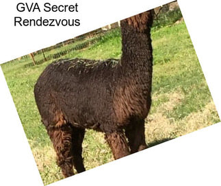 GVA Secret Rendezvous