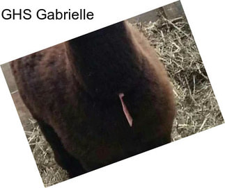 GHS Gabrielle