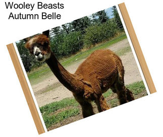 Wooley Beasts Autumn Belle