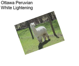 Ottawa Peruvian White Lightening