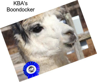 KBA\'s Boondocker