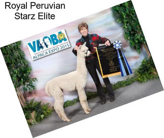 Royal Peruvian Starz Elite