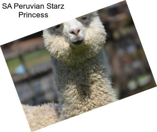 SA Peruvian Starz Princess