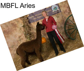 MBFL Aries