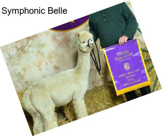 Symphonic Belle