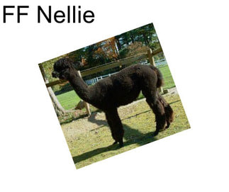 FF Nellie