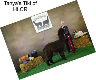Tanya\'s Tiki of HLCR