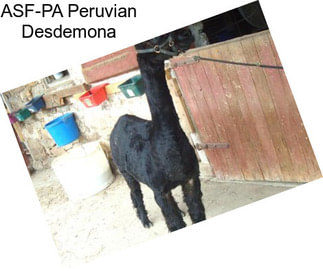 ASF-PA Peruvian Desdemona