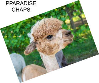 PPARADISE CHAPS