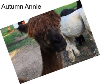 Autumn Annie
