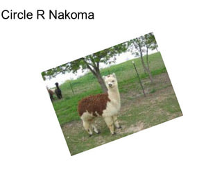 Circle R Nakoma