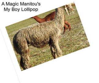 A Magic Manitou\'s \