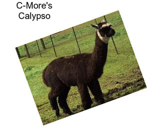 C-More\'s Calypso