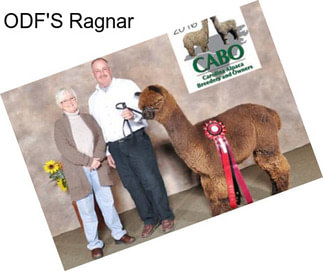 ODF\'S Ragnar