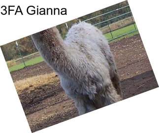 3FA Gianna