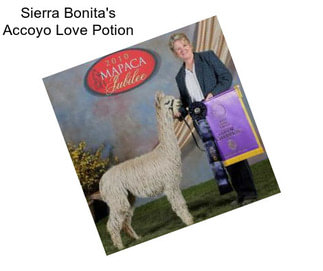 Sierra Bonita\'s Accoyo Love Potion