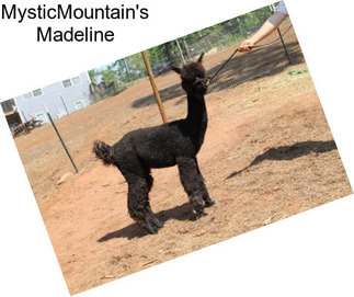 MysticMountain\'s Madeline