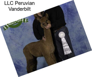 LLC Peruvian Vanderbilt