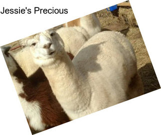 Jessie\'s Precious