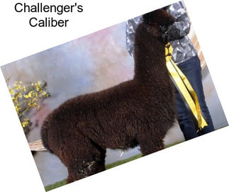 Challenger\'s Caliber