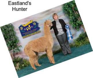 Eastland\'s Hunter