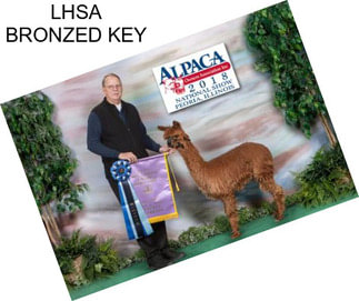 LHSA BRONZED KEY