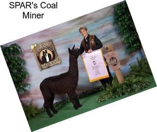 SPAR\'s Coal Miner