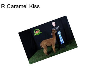 R Caramel Kiss