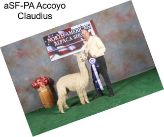 ASF-PA Accoyo Claudius