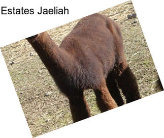 Estates Jaeliah