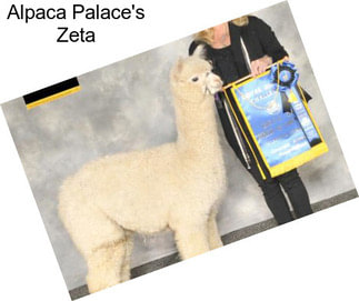 Alpaca Palace\'s Zeta