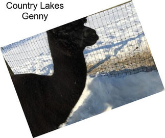 Country Lakes Genny