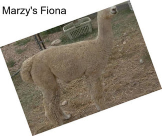 Marzy\'s Fiona