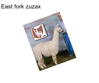 East fork zuzax