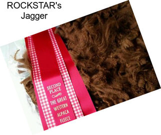 ROCKSTAR\'s Jagger