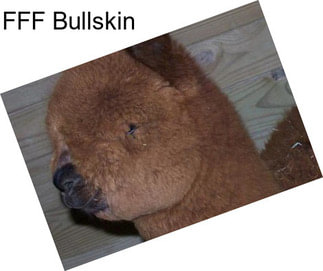 FFF Bullskin