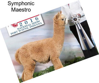 Symphonic Maestro