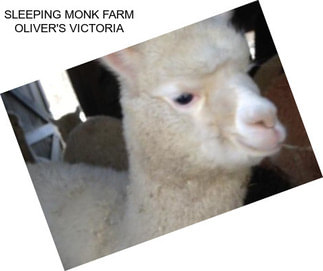 SLEEPING MONK FARM OLIVER\'S VICTORIA