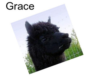 Grace