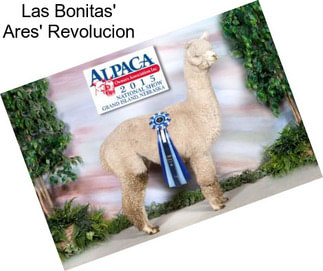 Las Bonitas\' Ares\' Revolucion